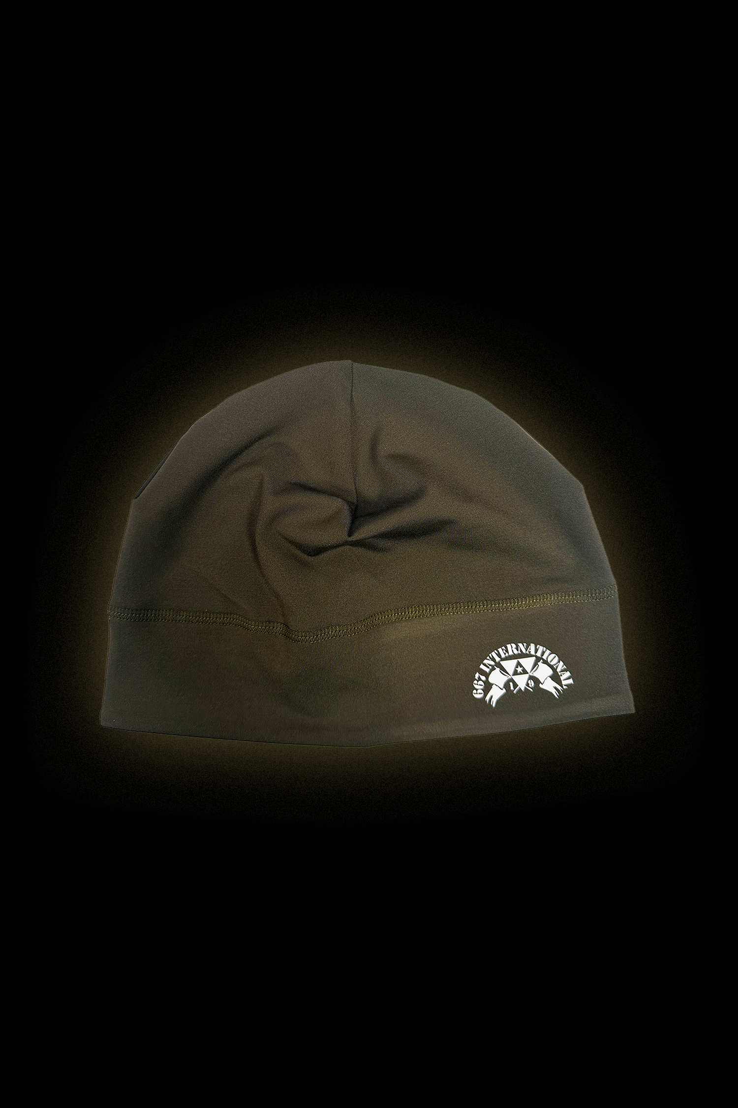 Skull Beanie INT