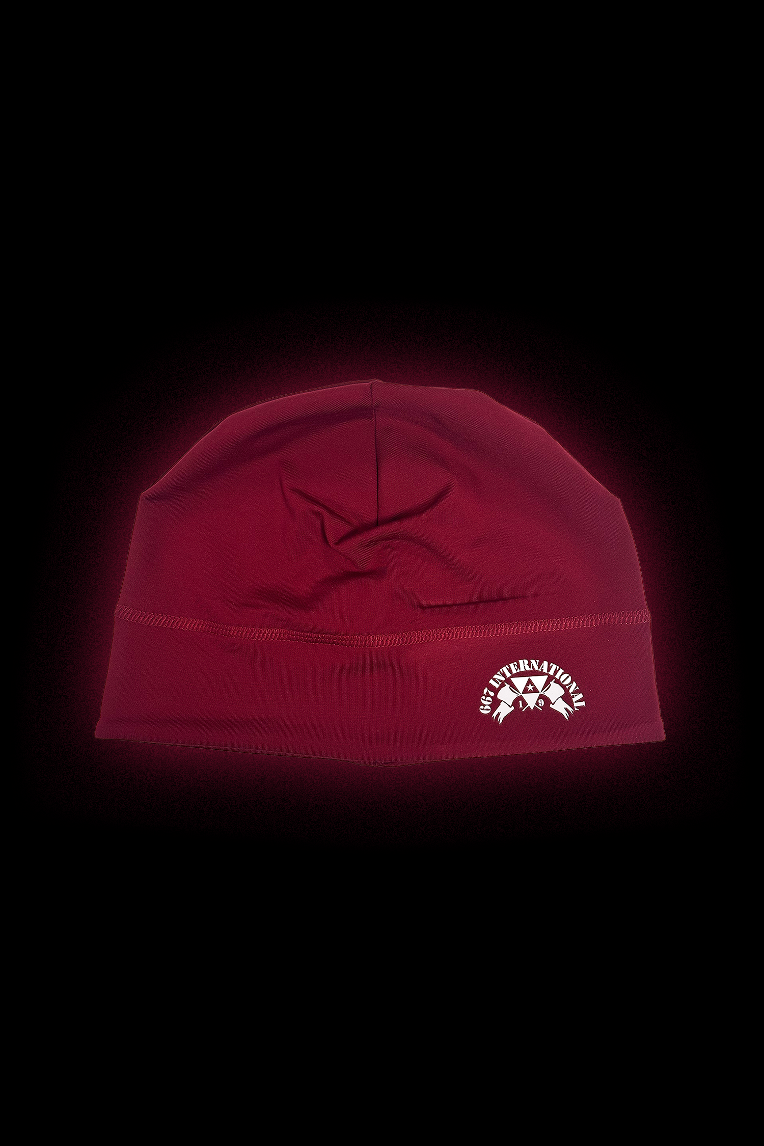 Skull Beanie INT